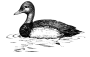 i 010