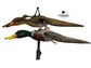 комплект чучело утка кряква летящая парящая FL 01-02 Спортпласт утколов