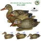 Комплект чучел кряква весенний окрас Гринхед Greenhead утколов Про-грейд чучела магнум EARLY