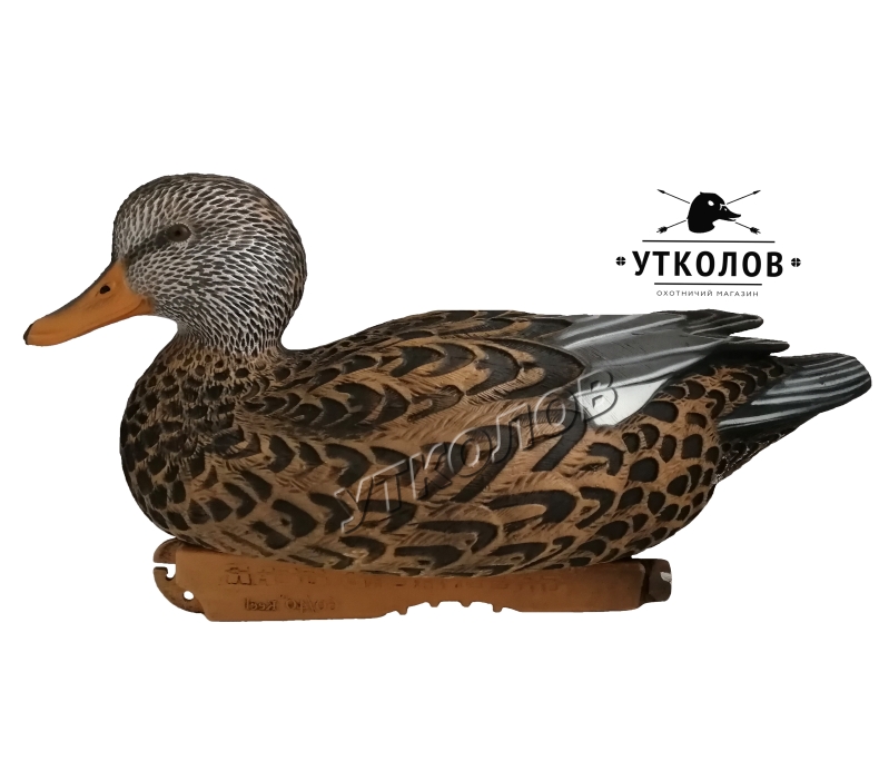 Комплект чучел утки "Серая утка Gadwalls Floater Pro-Grade Series №73145" (GreenHead Gear)