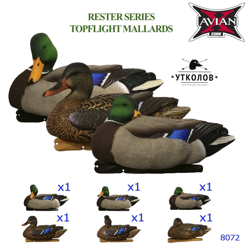 Комплект чучел утки "Кряква Topflight Mallards Preener/Sleeper Rester Series №8072" (Avian-X)