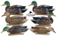 комплект чучел утки кряква 8062 осенний ранний сезон Авиан Икс утколов чучалка Avian Avian-X mallards duck