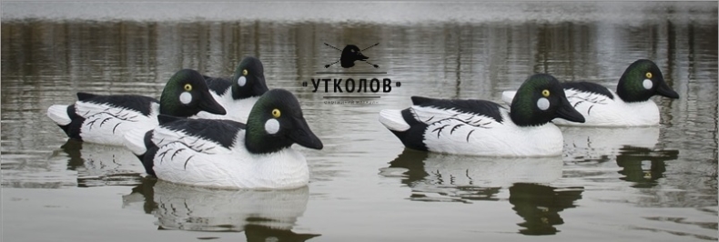 Комплект чучел утки "Гоголь селезень Standart Foam Filled Goldeneye №19733" (Higdon)