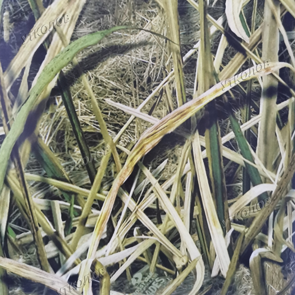 Камуфляжная пленка для ружья "Текстура-30" | Охотничий магазин «Утколов»