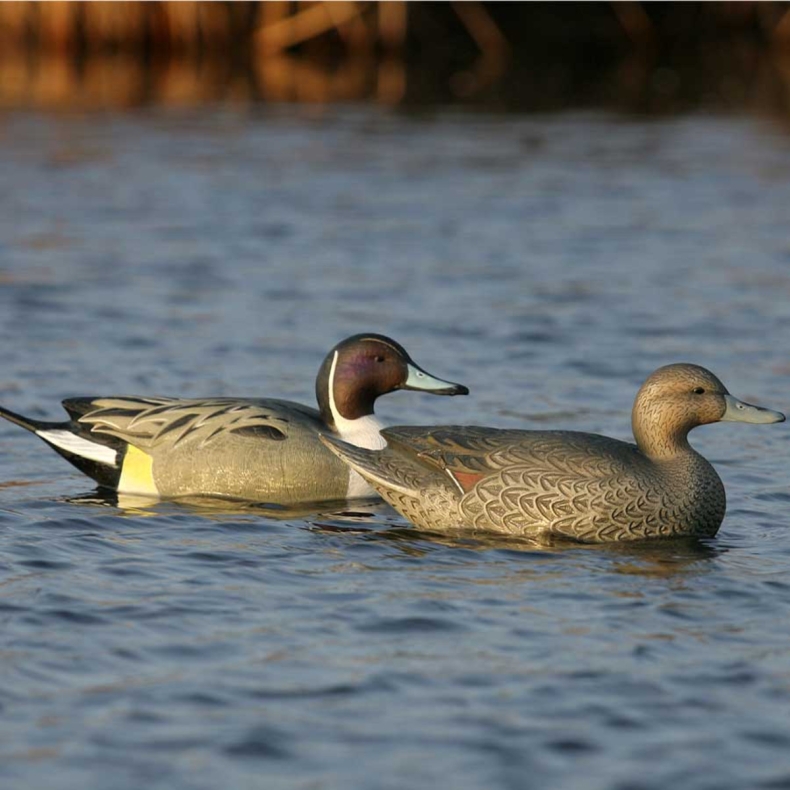 Комплект чучел утки "Шилохвость Pintails Over-Size Hunter Series №73032" (GreenHead Gear)