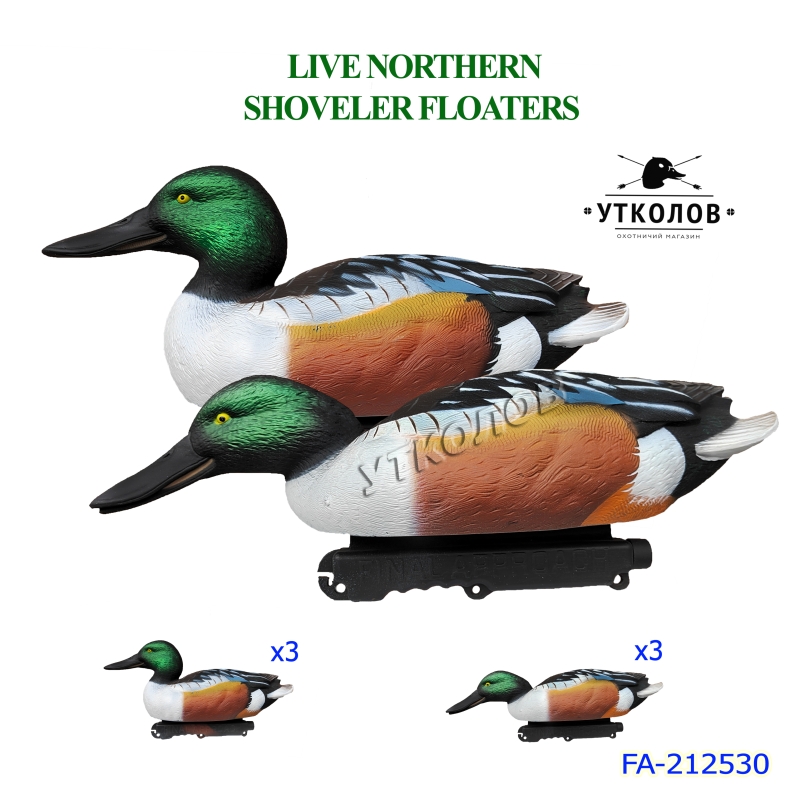 Комплект чучел уток "Широконоска селезень Live Northern Shoveler Floaters FA-212530" (Final Approach)